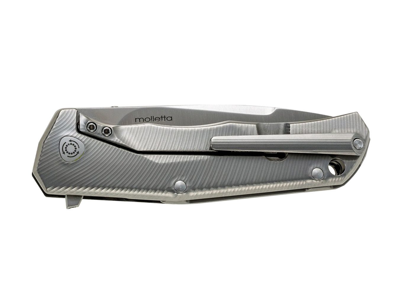 LionSteel Taschenmesser Taschenmesser T.R.E. G10