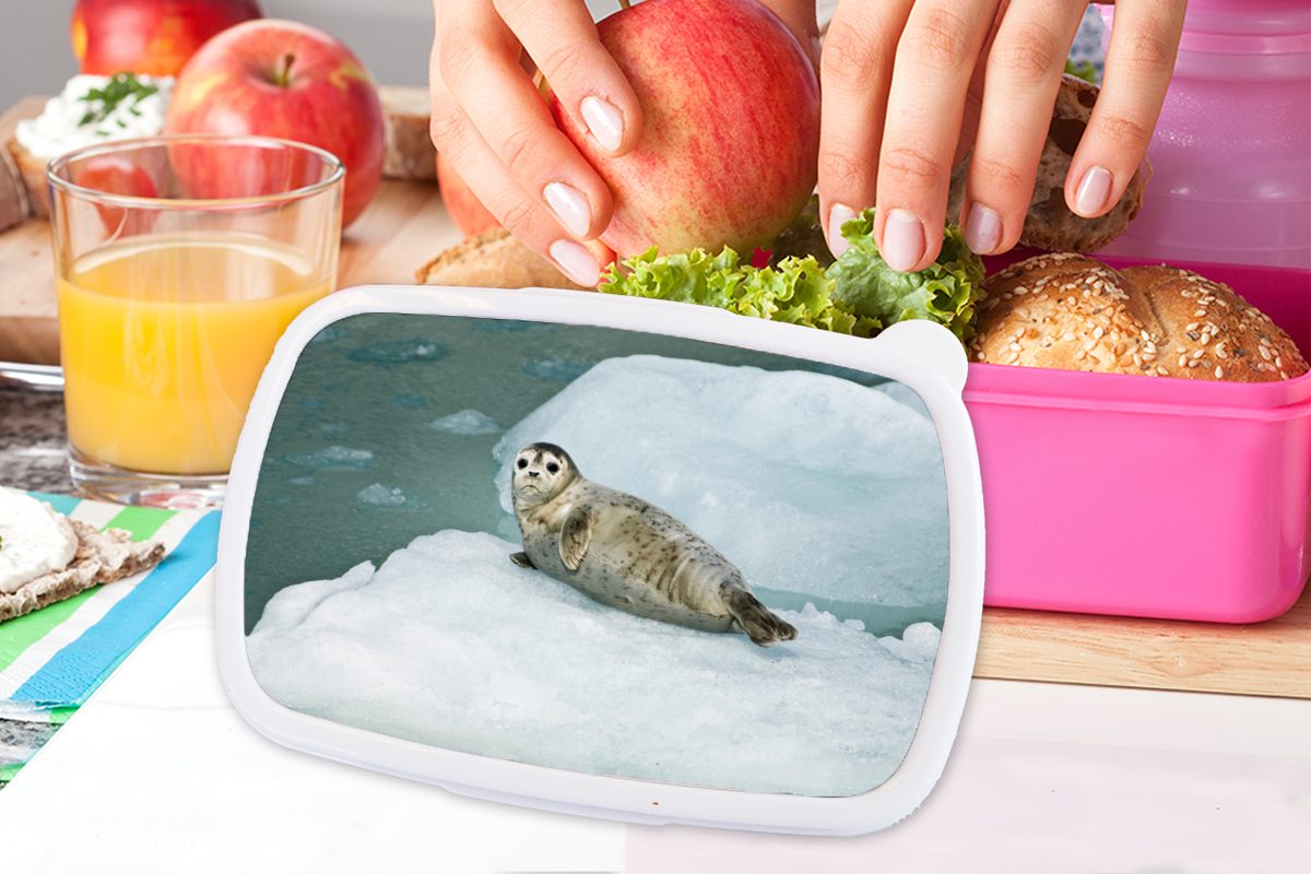 Robbe rosa Brotdose - Brotbox Mädchen, (2-tlg), Meer Eis, Lunchbox für Kinder, Erwachsene, Snackbox, - MuchoWow Kunststoff, Kunststoff