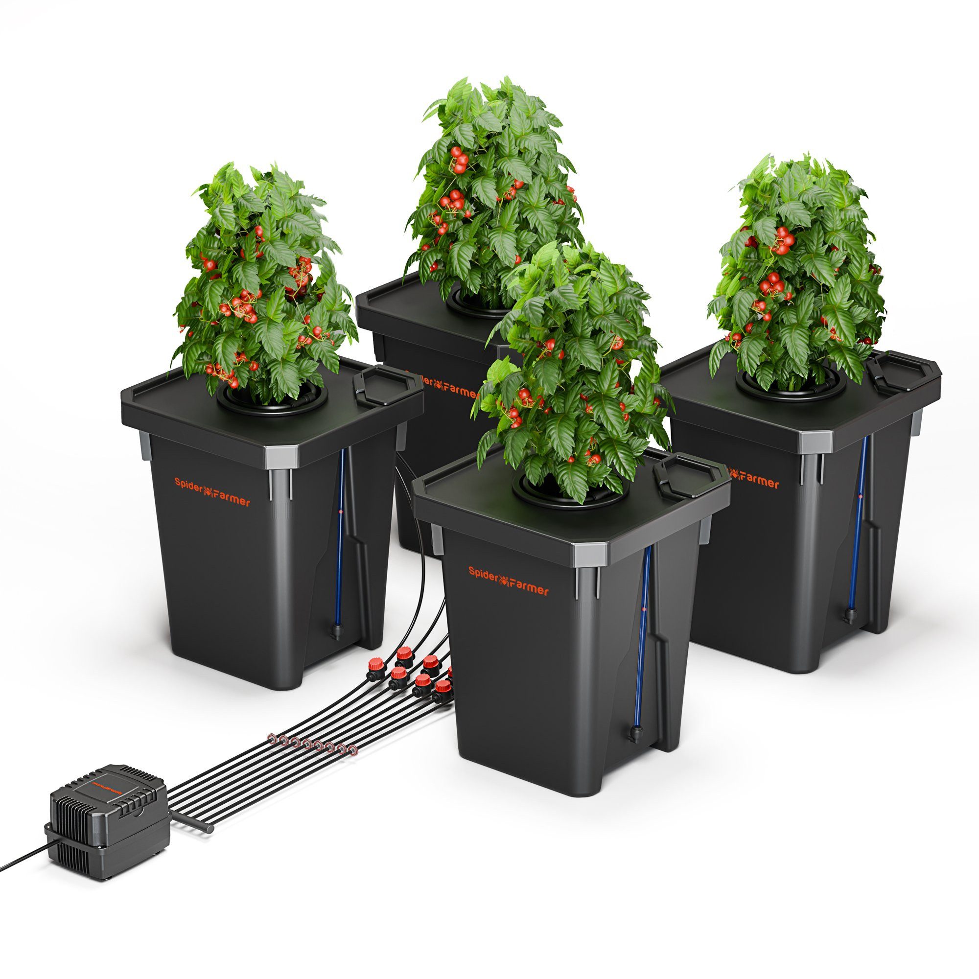 Spider Farmer Bewässerungssystem Spider Farmer Tiefwasserkultur (DWC) Hydroponik-System, (Komplettset inklusive Belüftung und Bewässerung), DWC System mit Top Drip Bewässerung für 4 Pflanzen