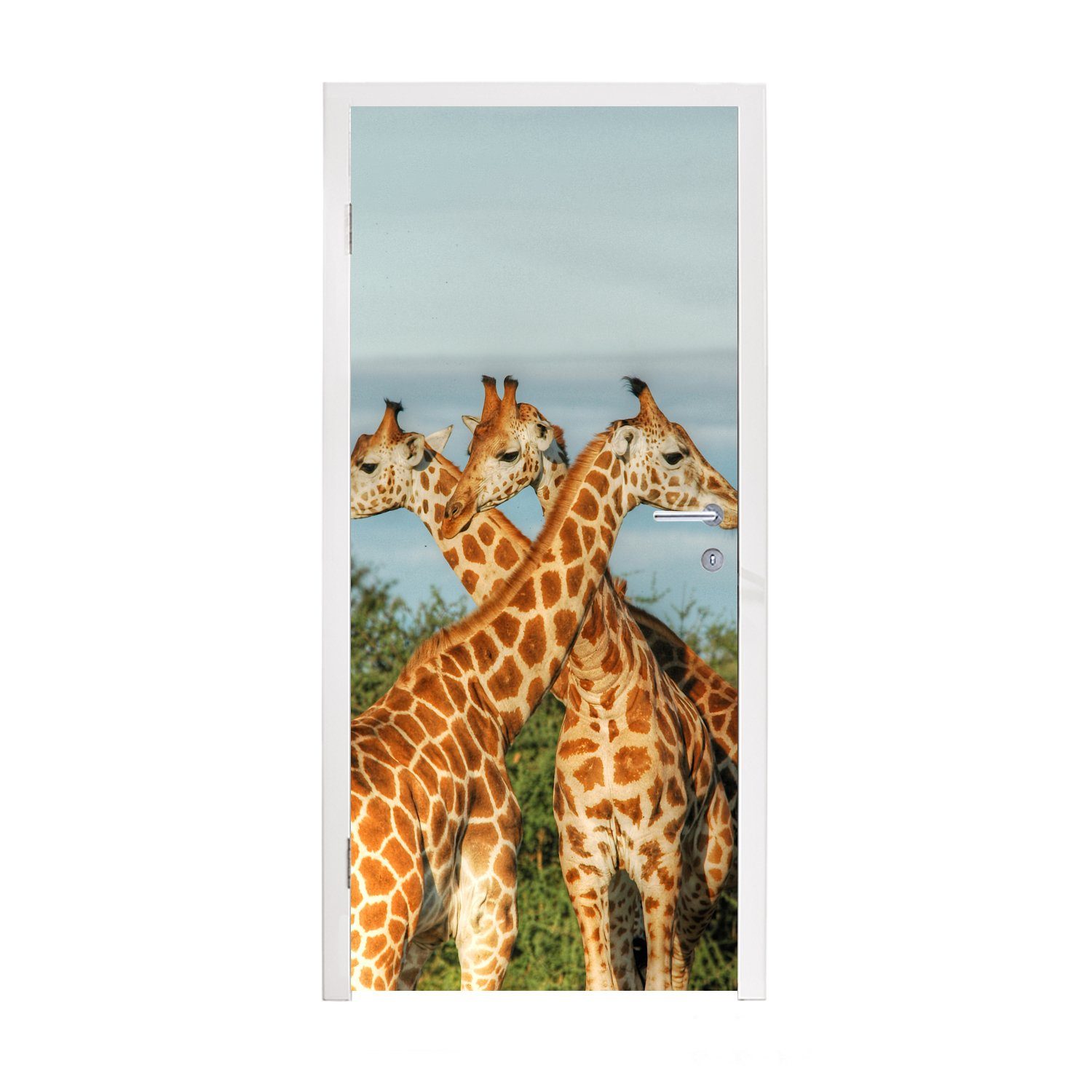 MuchoWow Türtapete bedruckt, - Luft Fototapete Türaufkleber, - St), Matt, Giraffen (1 Tür, für Tiere, 75x205 cm