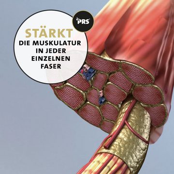 Peticare Futterbaum Muskulatur & Aktiv Pulver-Mix für Katzen - petCat Health 3503, g