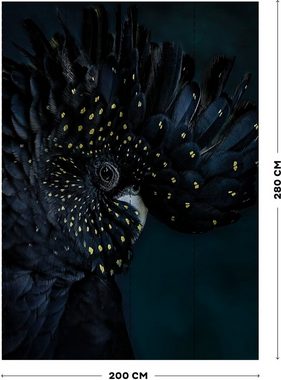 Art for the home Vliestapete Fototapete Exotischer Vogel, glatt, (1 St)