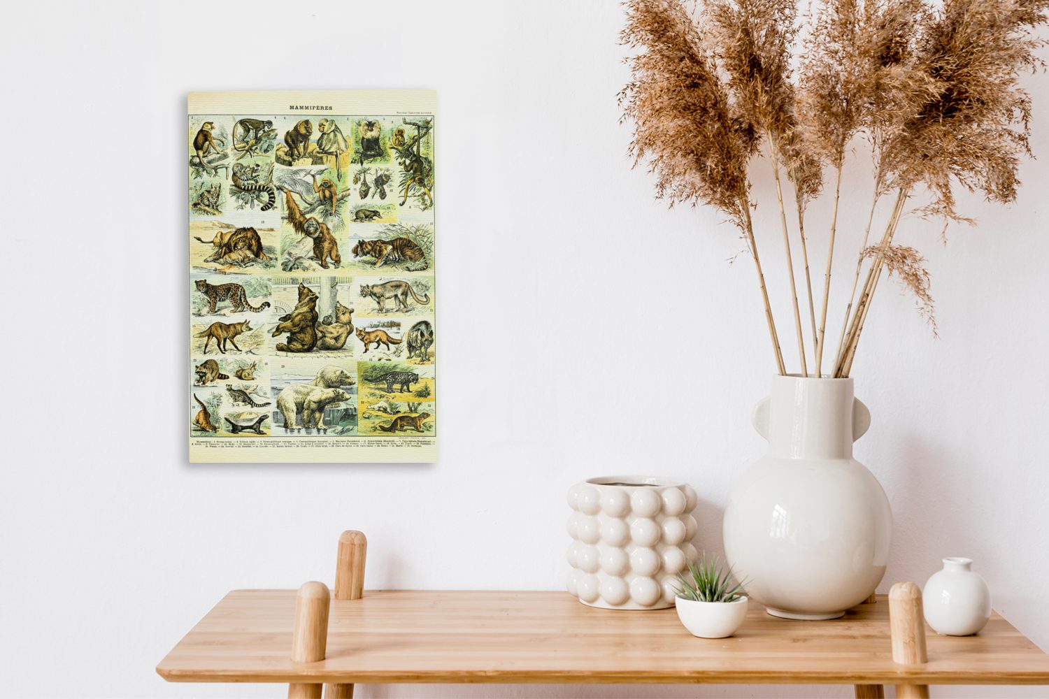 Zackenaufhänger, cm Affe (1 20x30 Leinwandbild bespannt Gemälde, Leinwandbild OneMillionCanvasses® Bären, fertig St), - inkl. - Tiere