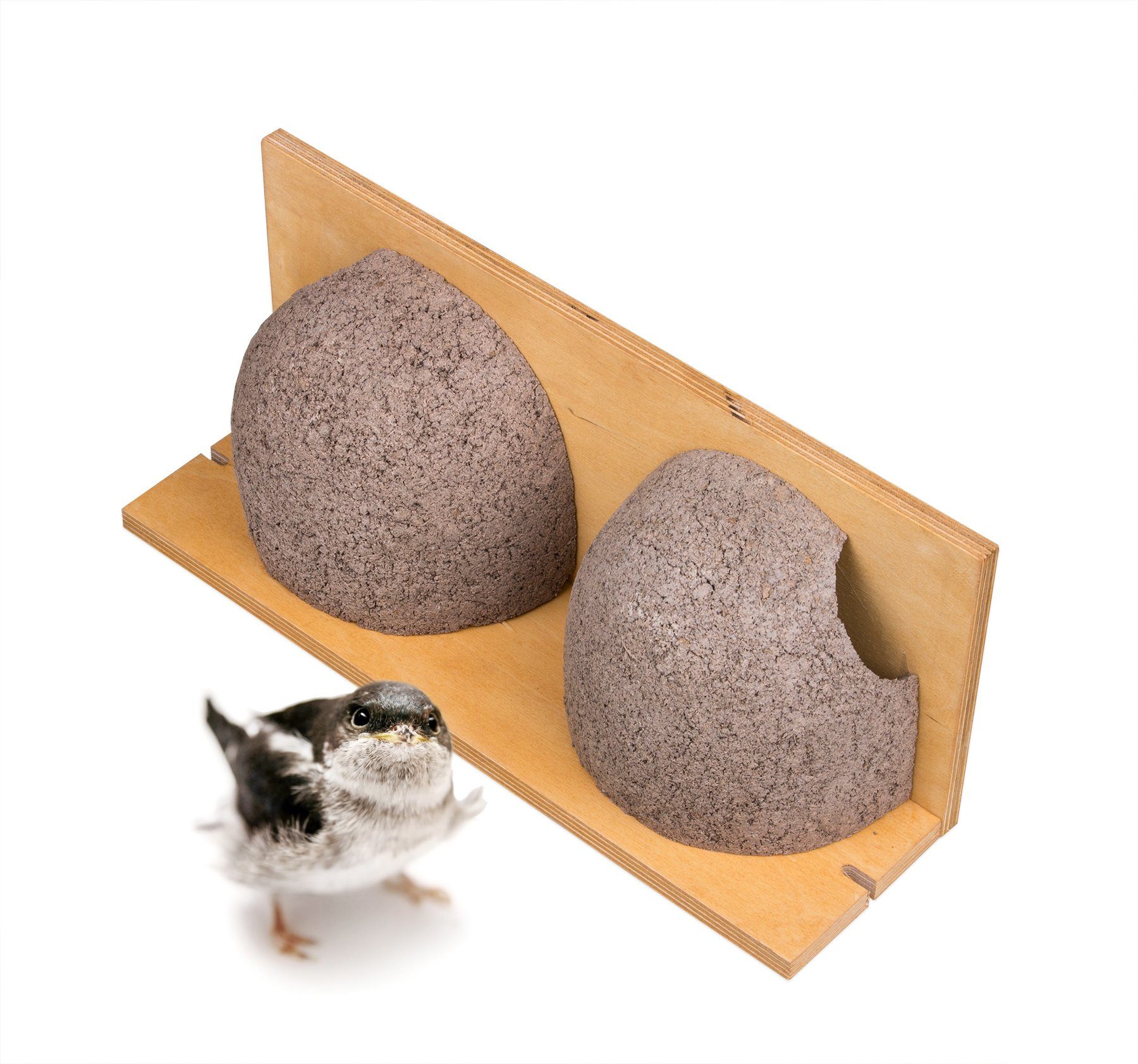 BigDean Nistkasten 2x Schwalbennistkasten Doppelnest Schwalbennest Nisthilfe Holzbeton, Schwalbennest, Doppelwohnung Schwalben