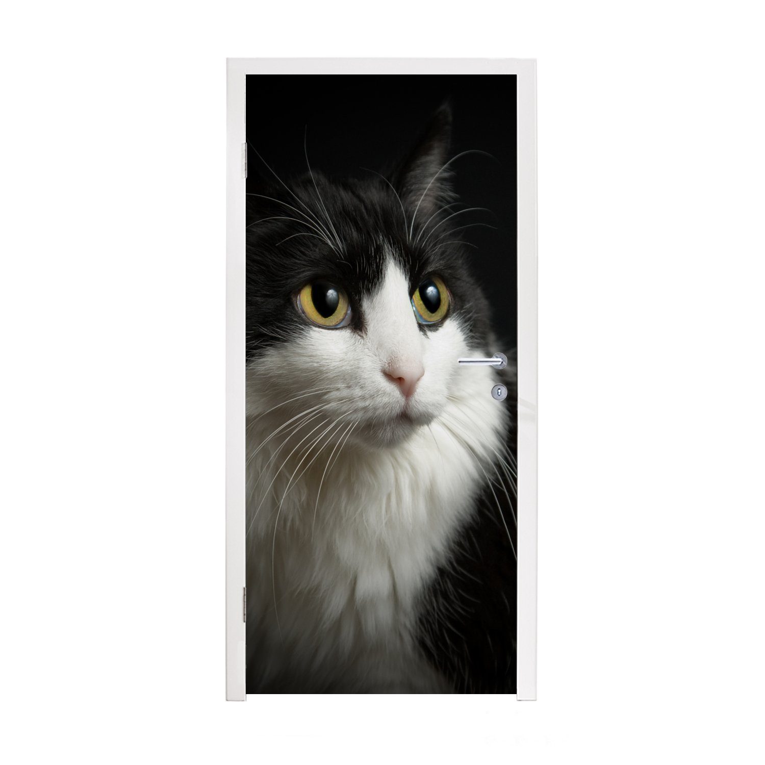 MuchoWow Türtapete Katzenporträt, Matt, bedruckt, (1 St), Fototapete für Tür, Türaufkleber, 75x205 cm