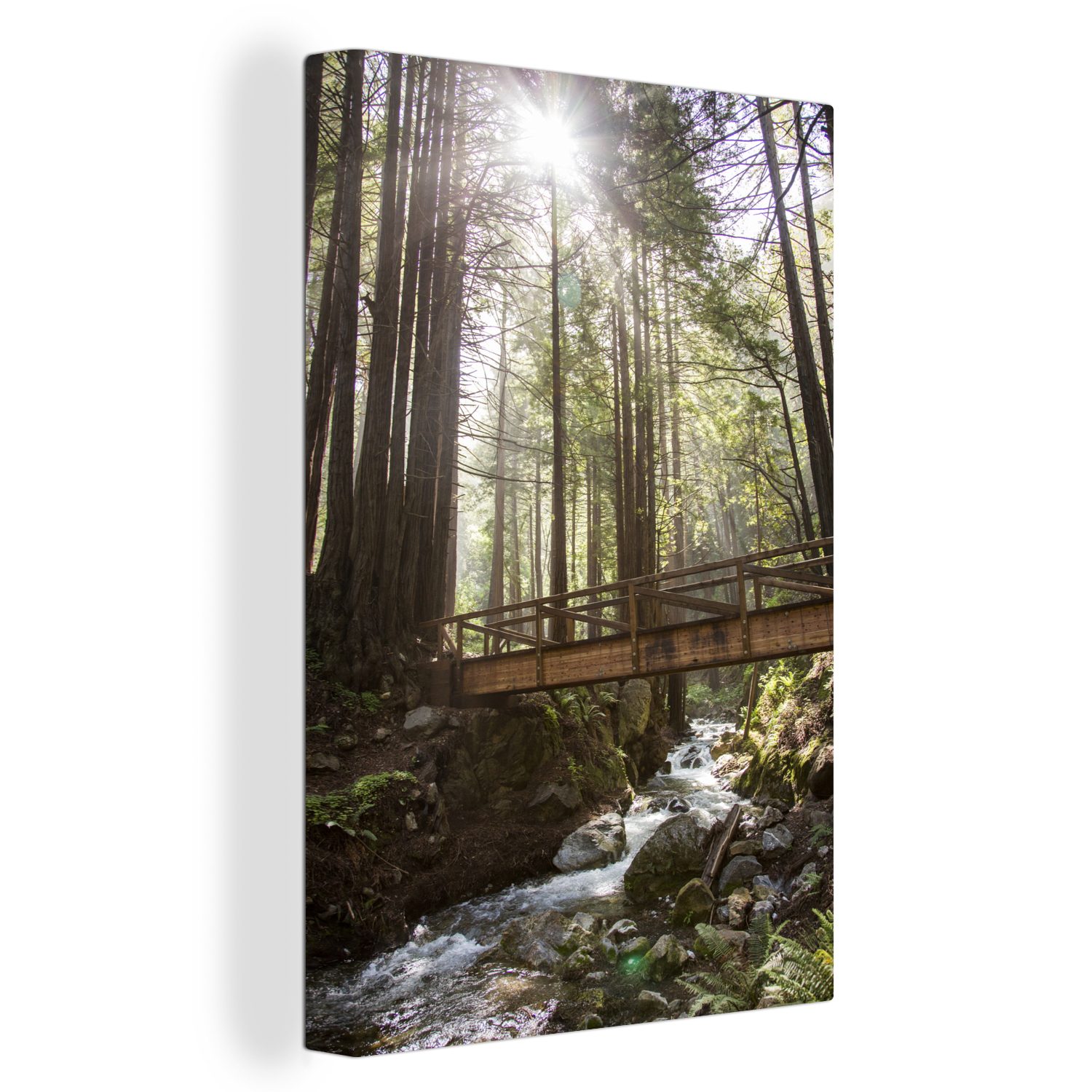 OneMillionCanvasses® Leinwandbild Amerikanischer Wald Fotodruck, (1 St), Leinwandbild fertig bespannt inkl. Zackenaufhänger, Gemälde, 20x30 cm