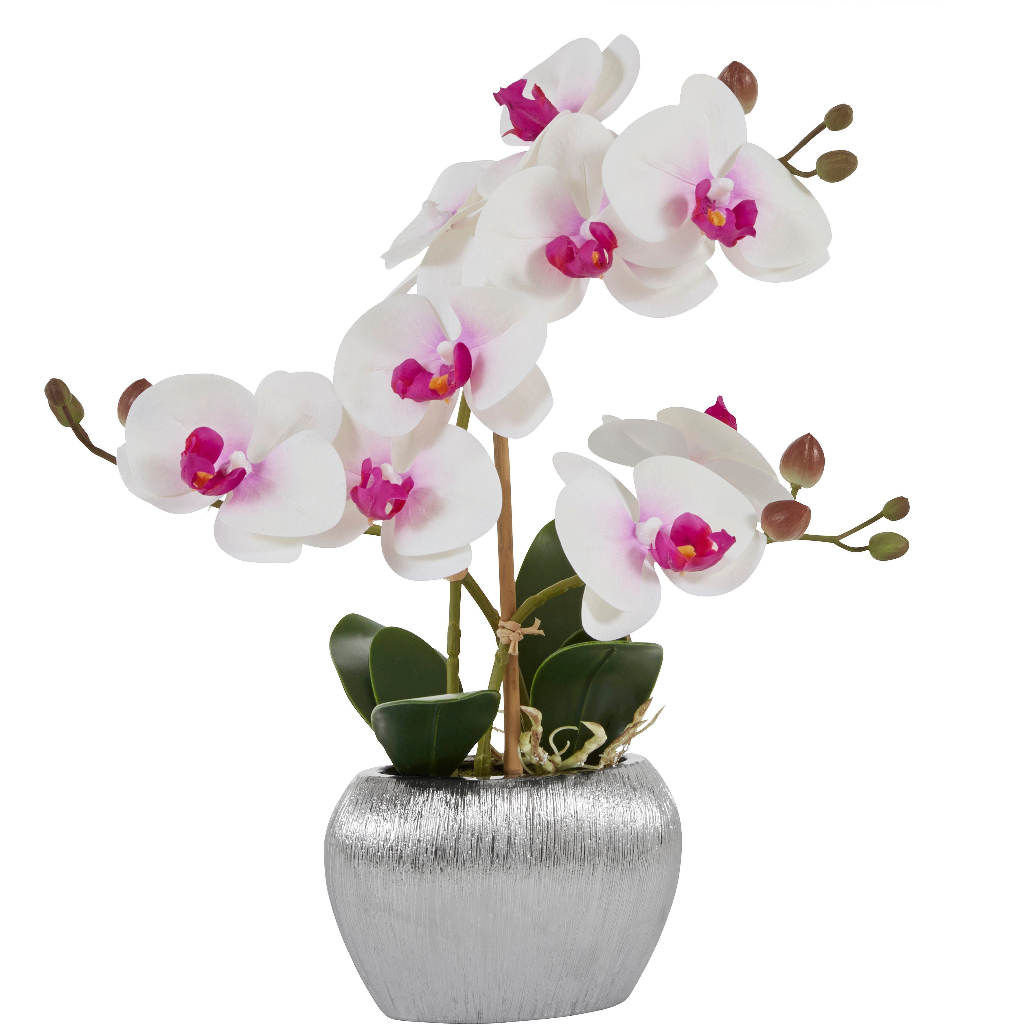 Kunstpflanze Orchidee, Home affaire, Höhe 38 cm, Kunstorchidee, im Topf weiß