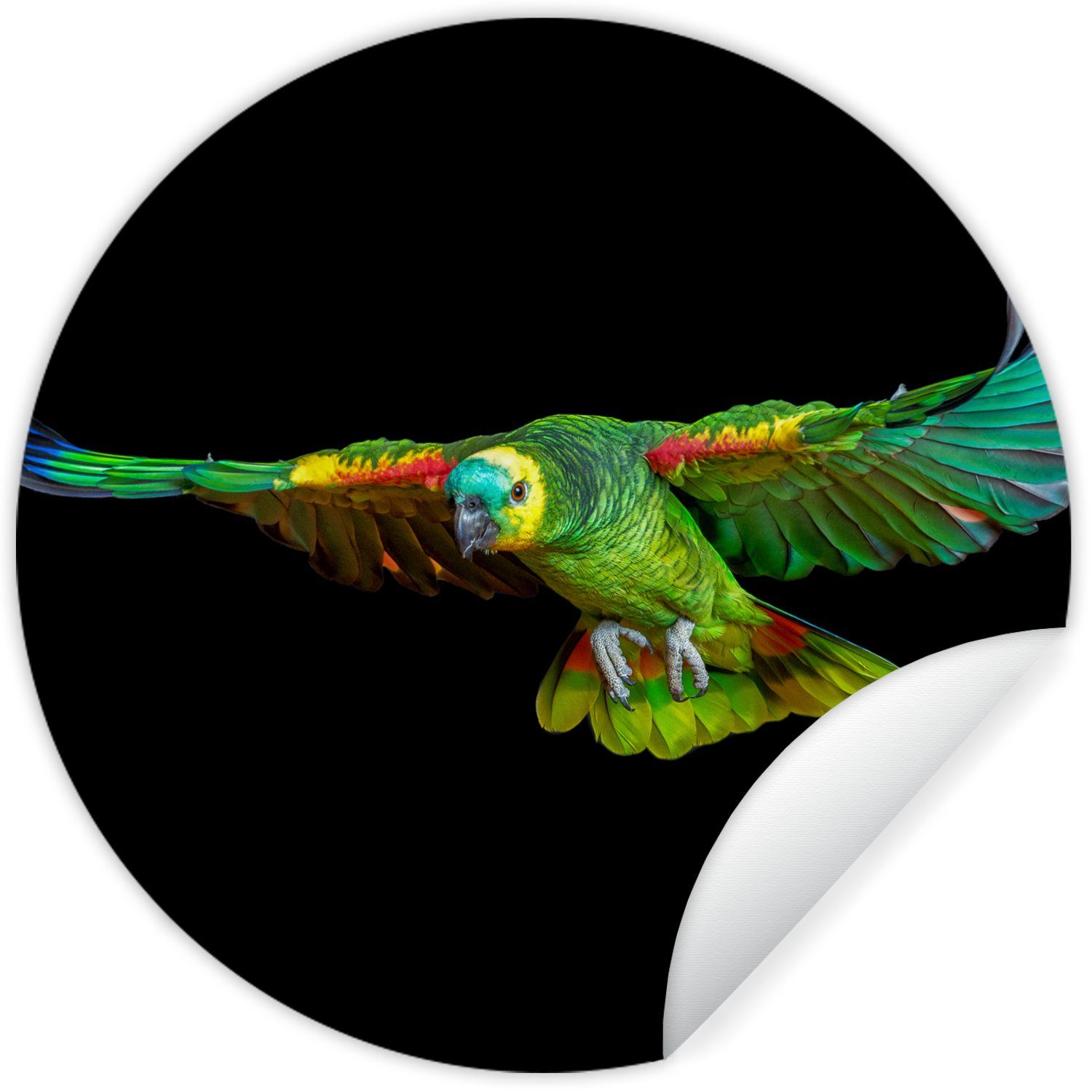 - Tapetenkreis Vogel Wohnzimmer Kinderzimmer, Papagei Wandsticker für Tapetenaufkleber, Federn - (1 Rund, St), MuchoWow