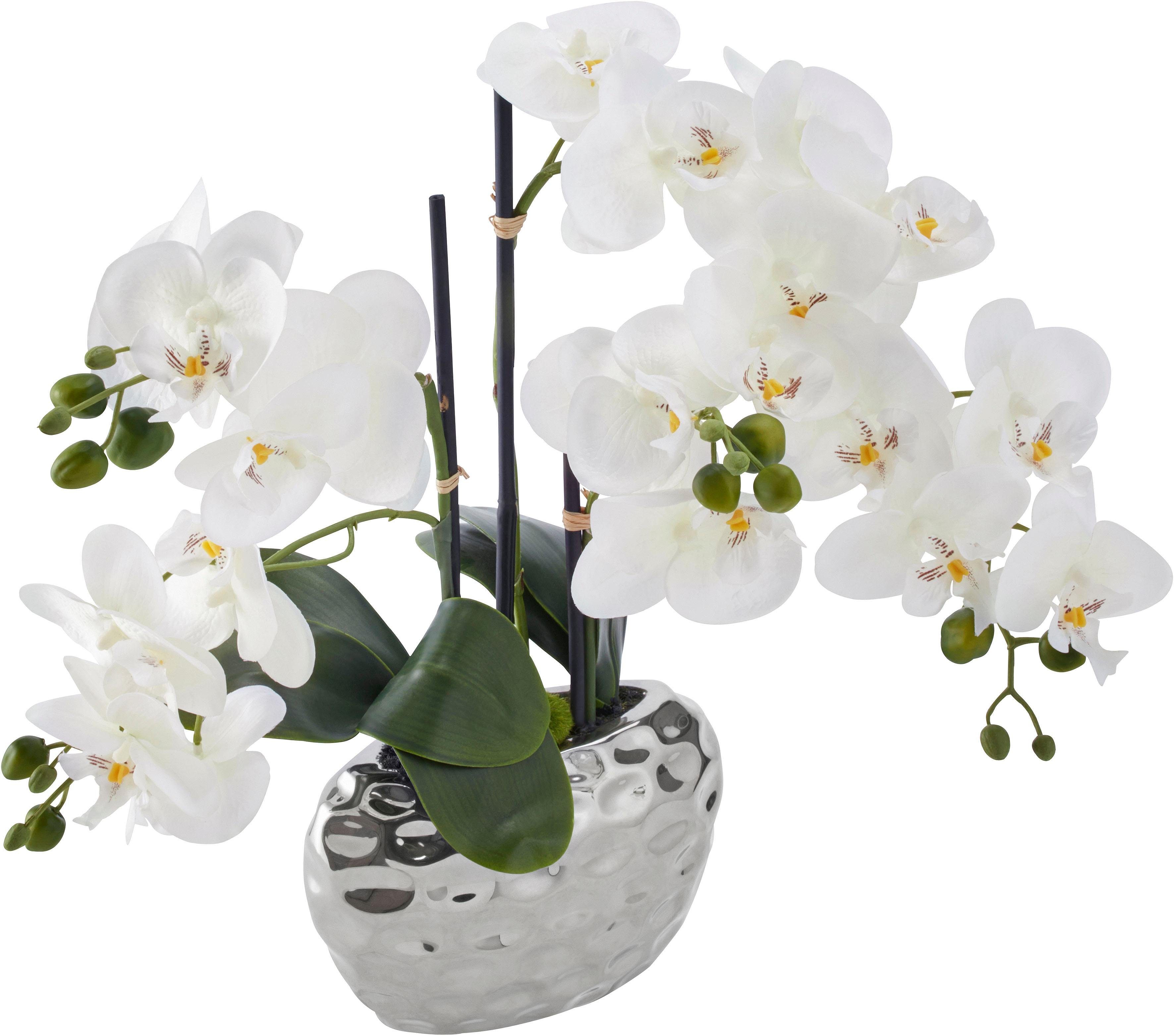 Kunstpflanze Orchidee Orchidee, weiß 55 Höhe cm green, Creativ