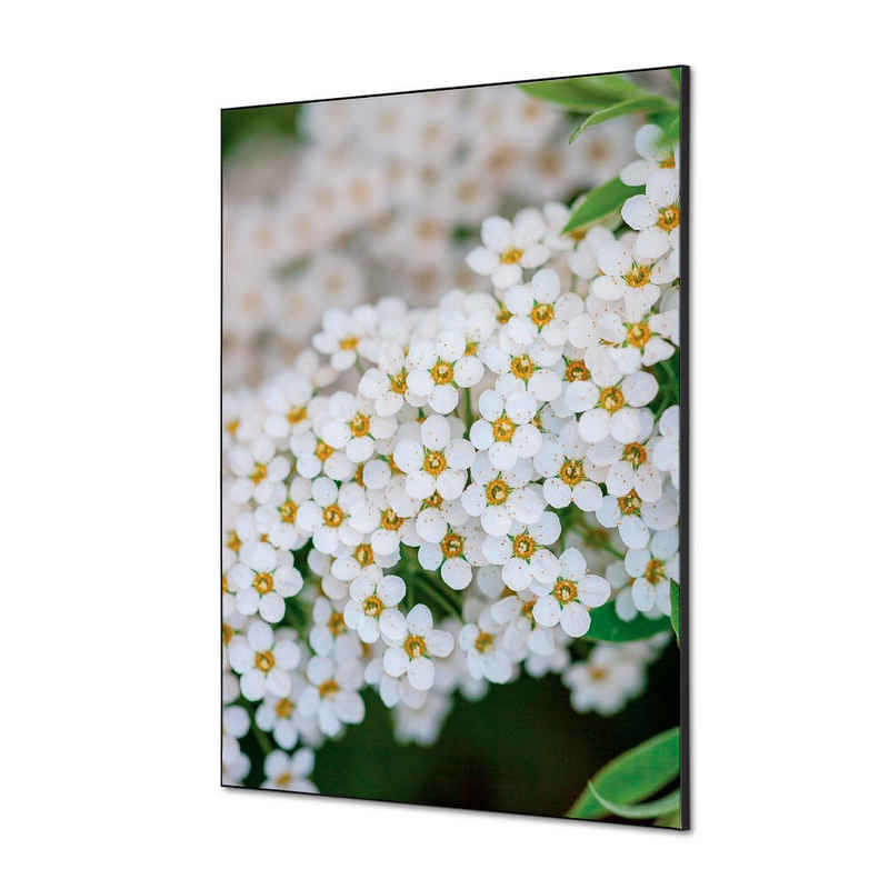 Generic Wandsticker Set DIN A1 - Weiße Blume Spirea - Schwarzer Rahmen (1 St)