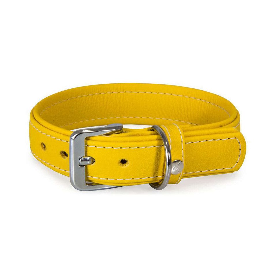 Das Lederband Hunde-Halsband Hundehalsband Barcelona Vibrant-Yellow