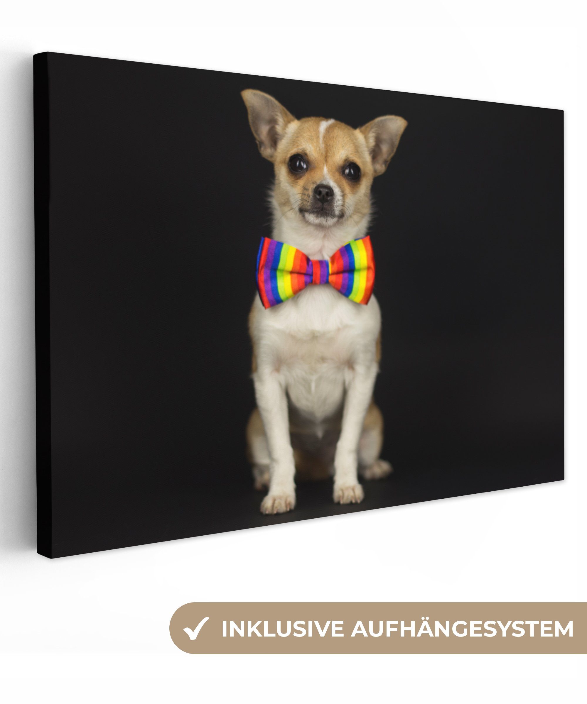 OneMillionCanvasses® Leinwandbild Hund - Fliege - Schwarz, (1 St), Wandbild Leinwandbilder, Aufhängefertig, Wanddeko, 30x20 cm