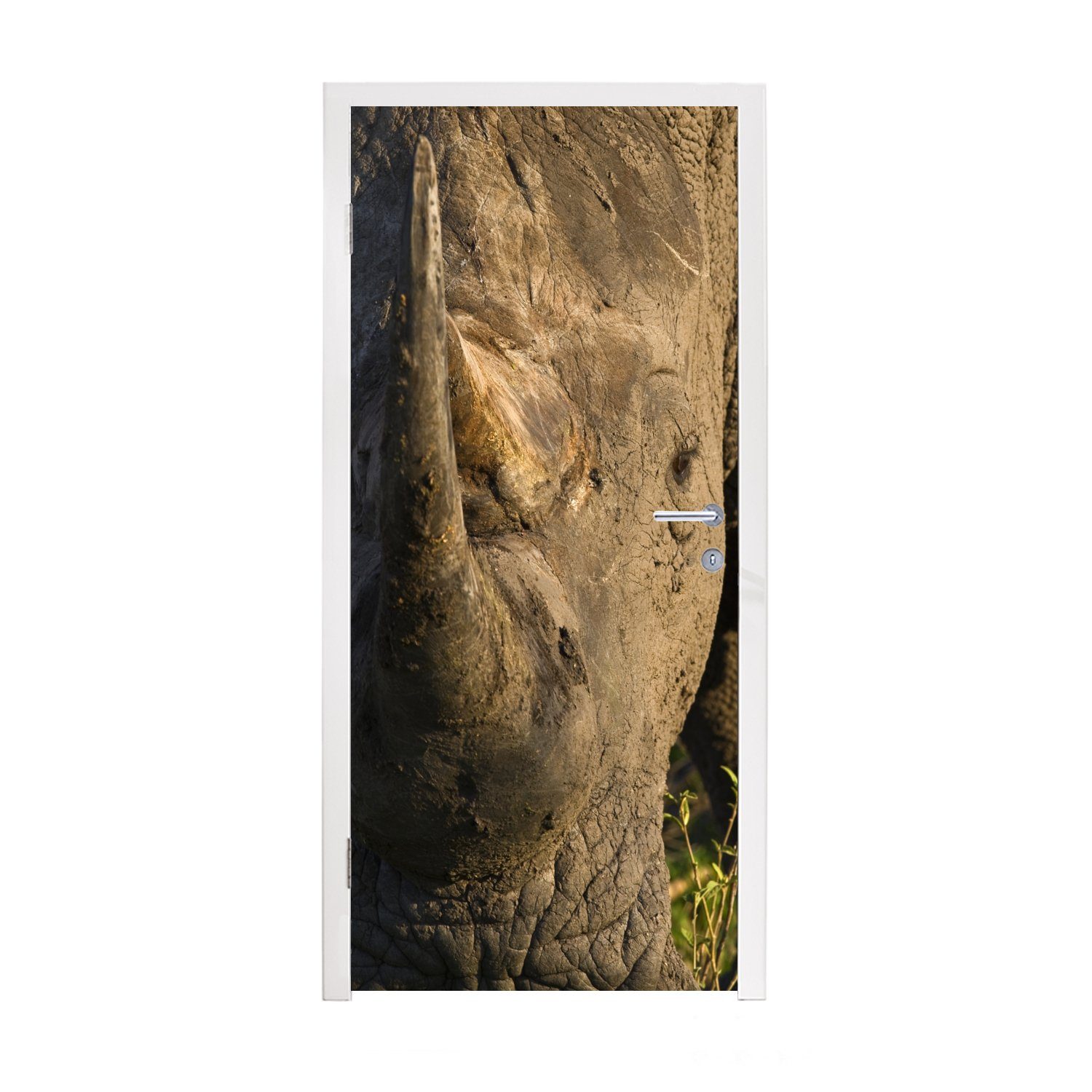 MuchoWow Türtapete Tiere - Rhinozeros - Porträt, Matt, bedruckt, (1 St), Fototapete für Tür, Türaufkleber, 75x205 cm