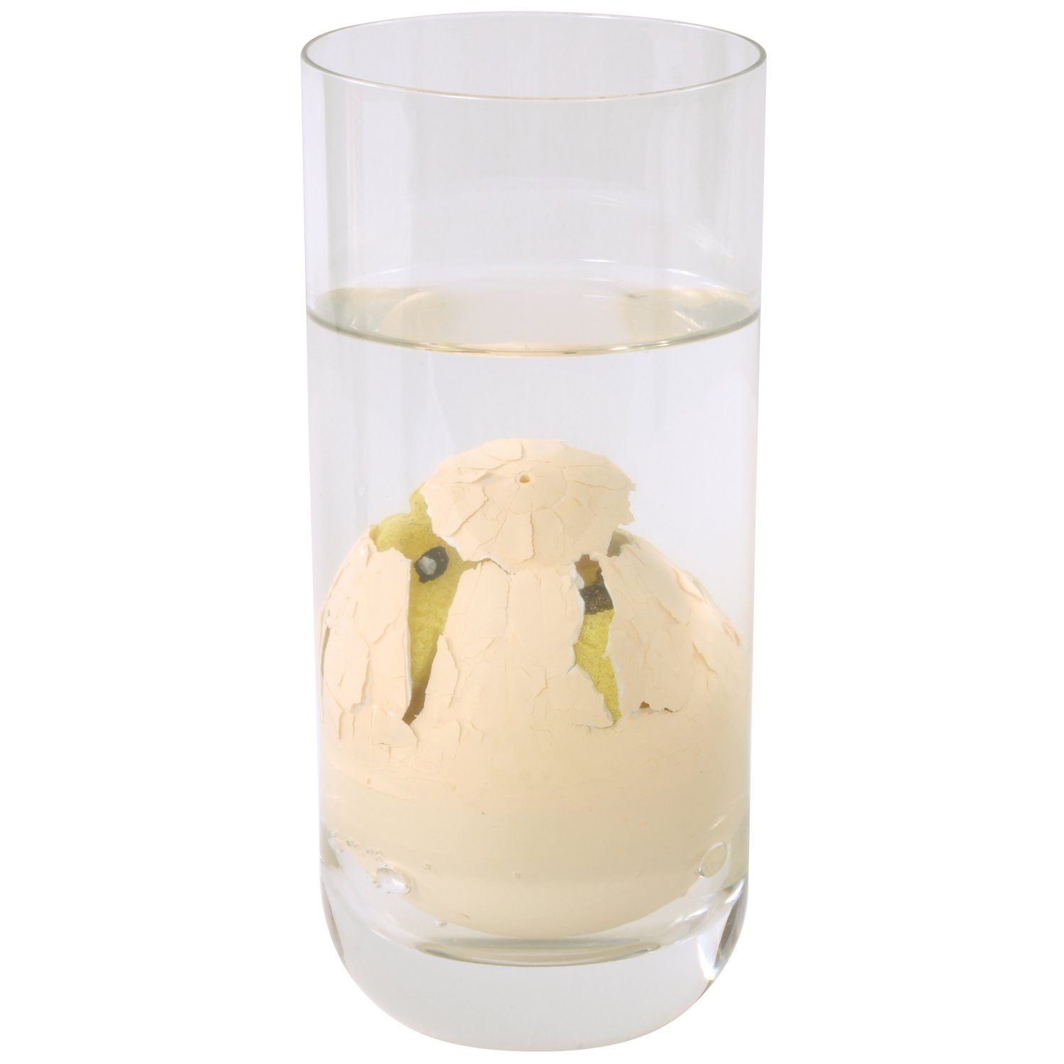 EDUPLAY Lernspielzeug günstig online kaufen