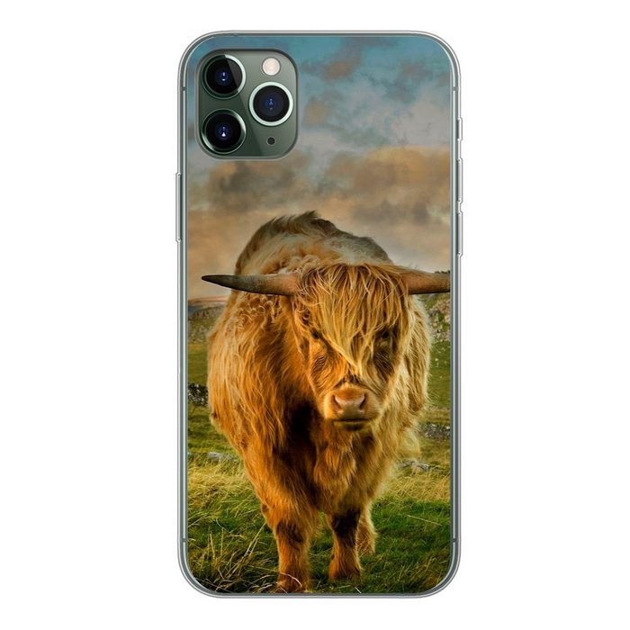 MuchoWow Handyhülle Schottischer Highlander - Gras - Berg Handyhülle Apple iPhone 11 Pro Max Smartphone-Bumper Print Handy