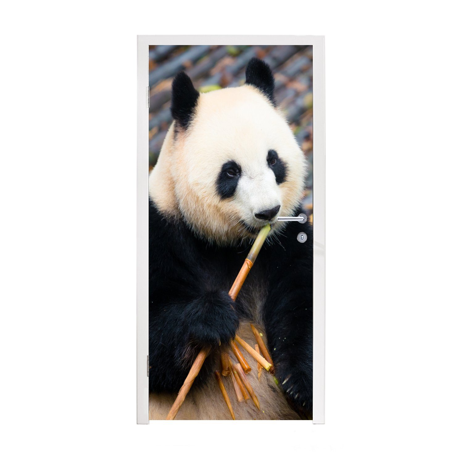 MuchoWow Türtapete Großer Panda - Bambus - Blätter, Matt, bedruckt, (1 St), Fototapete für Tür, Türaufkleber, 75x205 cm