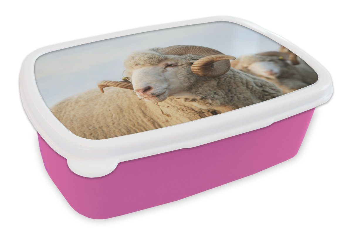 MuchoWow Lunchbox Schafe - Widder - Hörner, Kunststoff, (2-tlg), Brotbox für Erwachsene, Brotdose Kinder, Snackbox, Mädchen, Kunststoff rosa