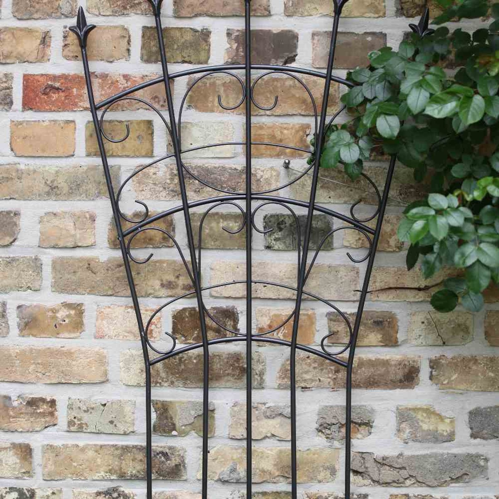 Siena Garden Rankgitter Rankgitter, Metall anthrazit, unterverzinkt 60 x 156 cm