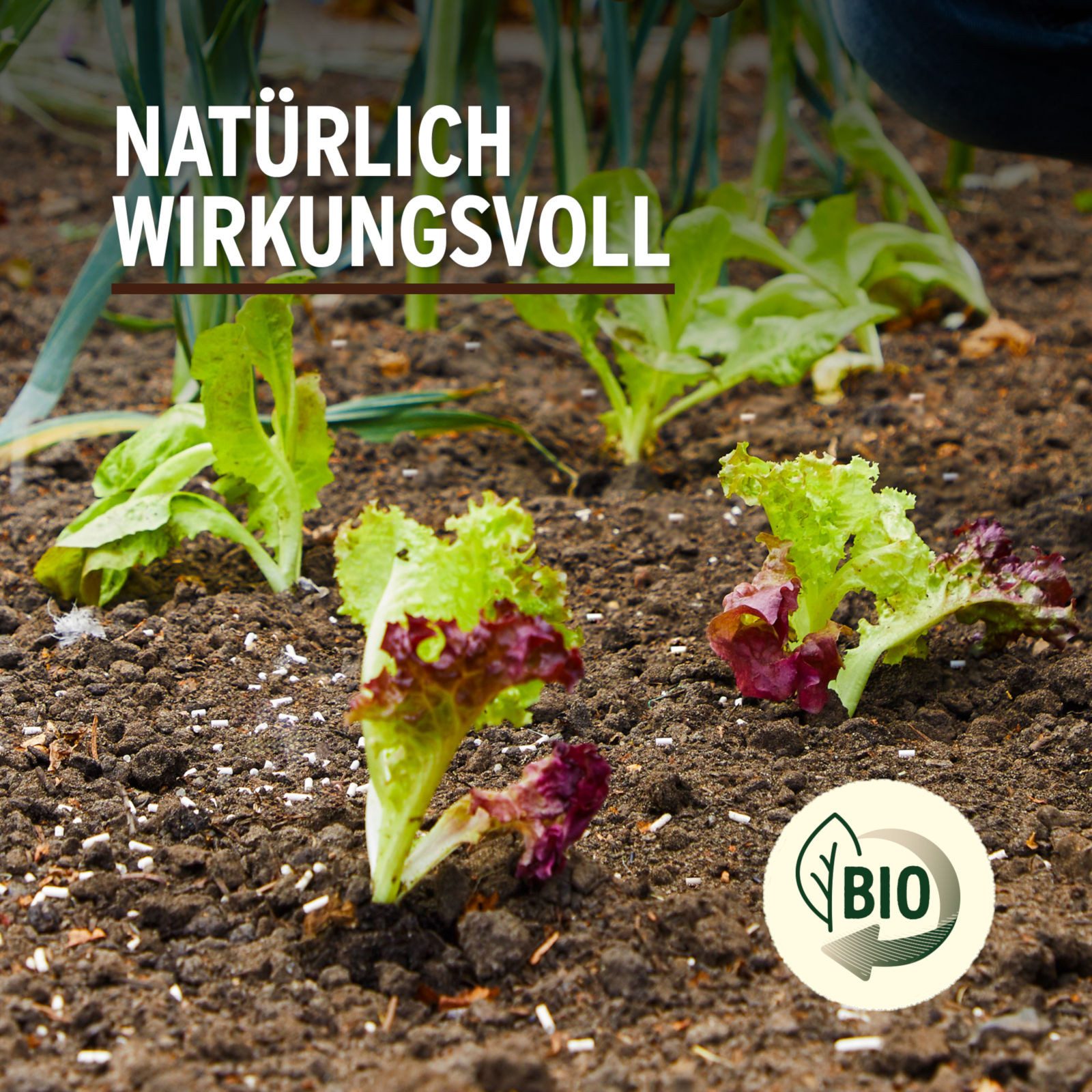 Substral Pflanzenstärkungsmittel Naturen Schneckenkorn Limex Bio, 1,2 kg
