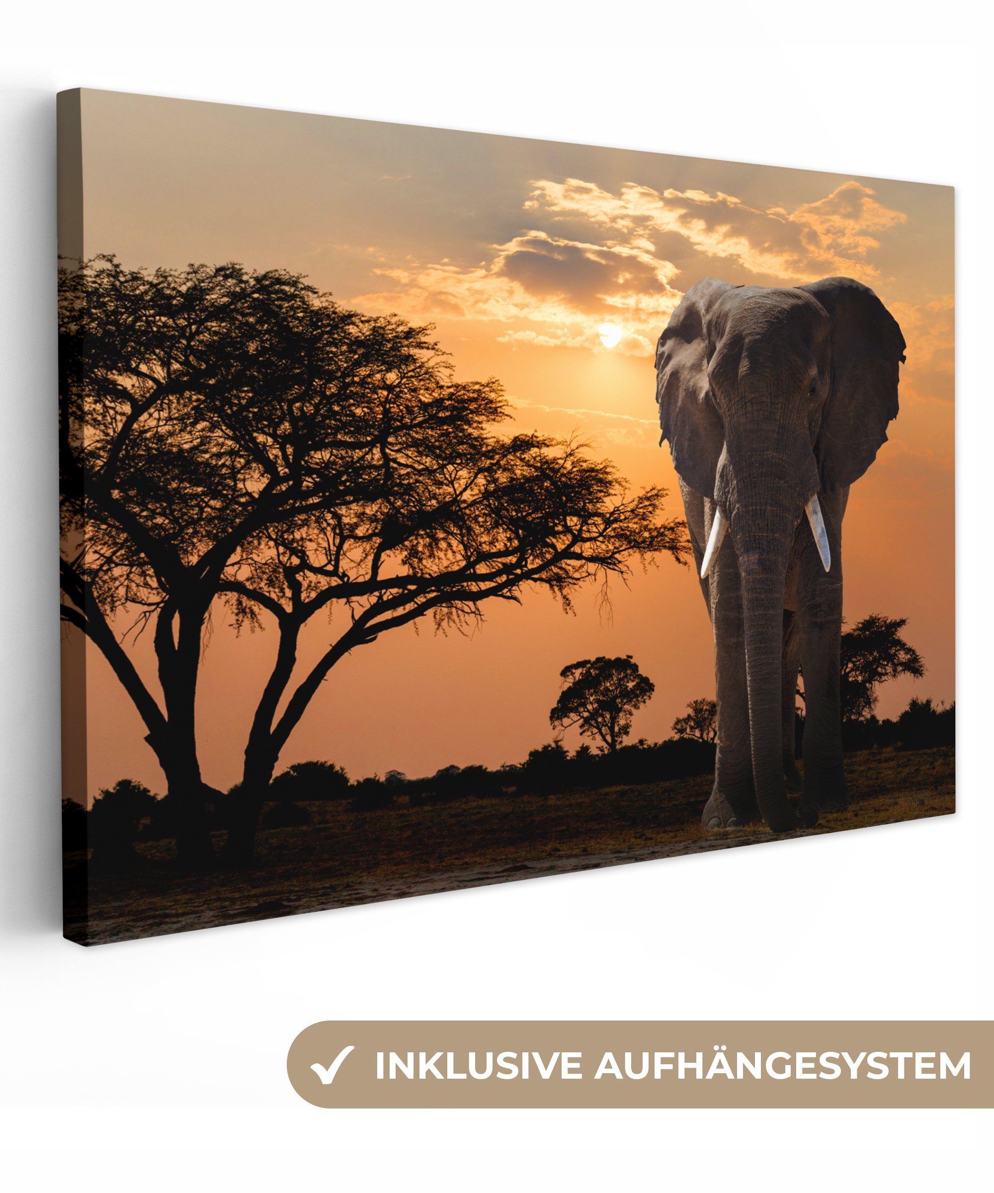 Leinwandbild Elefant - Baum - Afrika