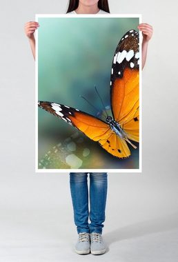 Sinus Art Poster Kleiner Monarch Schmetterling 60x90cm Poster
