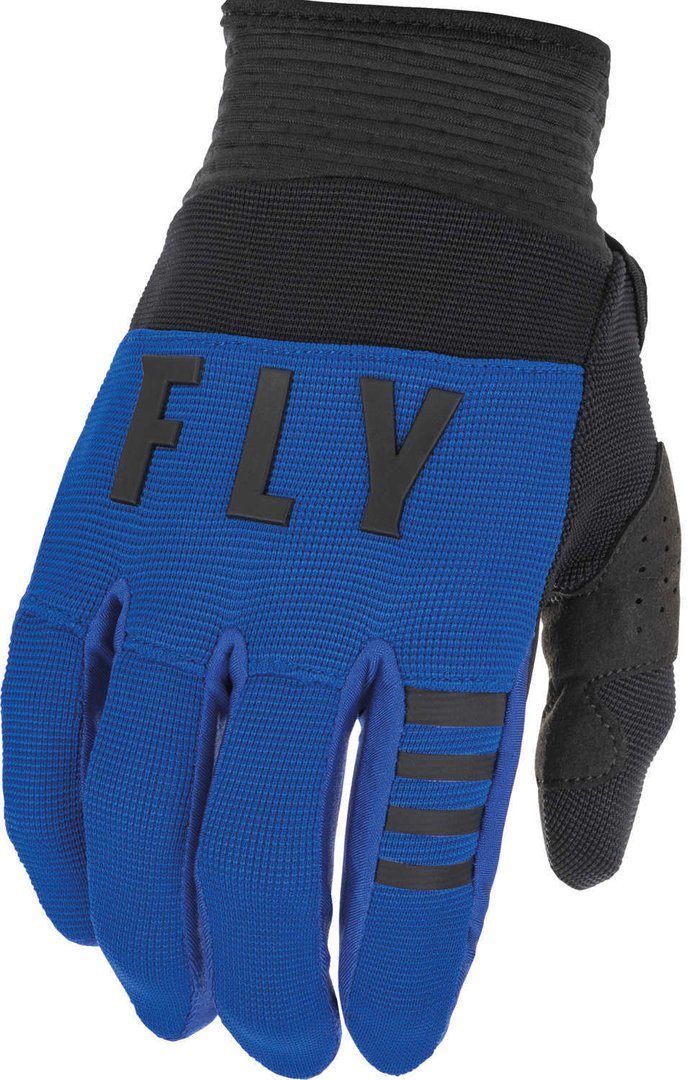 Fly Racing Motorradhandschuhe F-16 Motocross Handschuhe Blue/Black