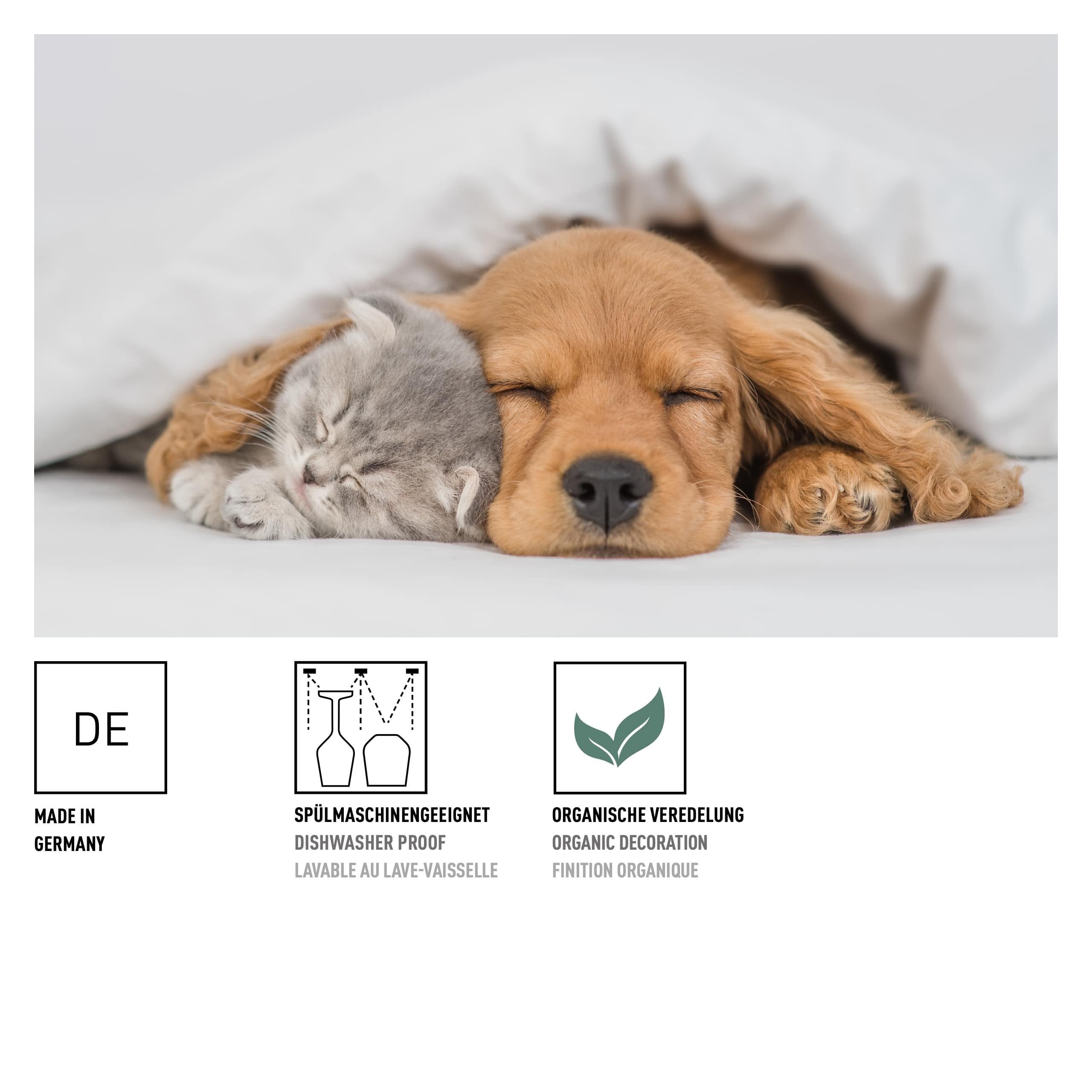 Ritzenhoff Tierisch Glücklich