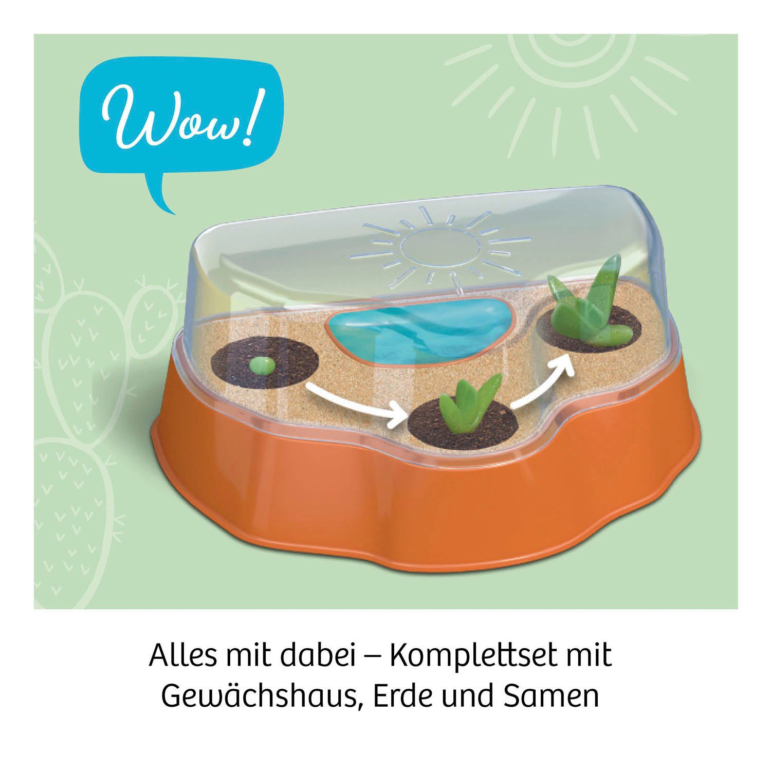 Kosmos Experimentierkasten Kakteen-Wüste, Made in Germany – Bild 4 von 5
