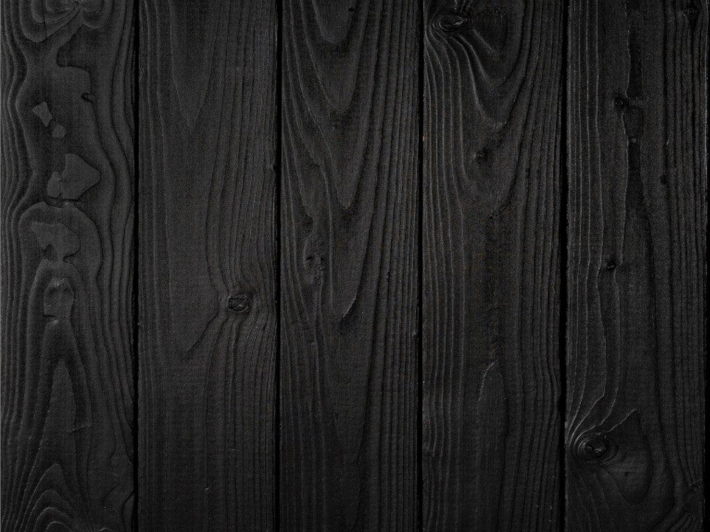 Outgarden Wandpaneel Outgarden Holz Fassadenprofil gebranntes Schwarz Außenfassade, BxL: 9.5x300 cm