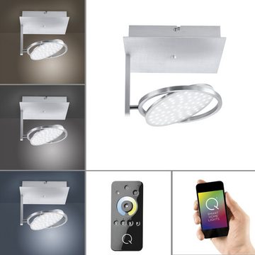 Paul Neuhaus Smarte LED-Leuchte LED Deckenleuchte Q - ORBIT Smart Home, Smart Home, CCT-Farbtemperaturregelung, DImmfunktion, Memoryfunktion, mit Leuchtmittel, Spot schwenkbar, dimmbar per Fernbedienung, Alexa