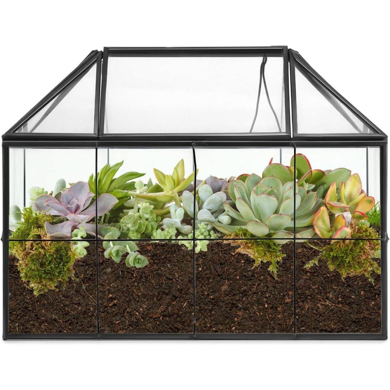 LuxusKollektion Glas