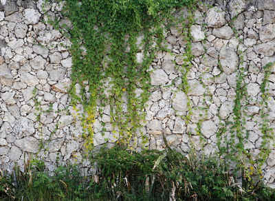 living walls Fototapete Designwalls Stone Wall, glatt, (5 St), Vlies, Wand, Schräge, Decke