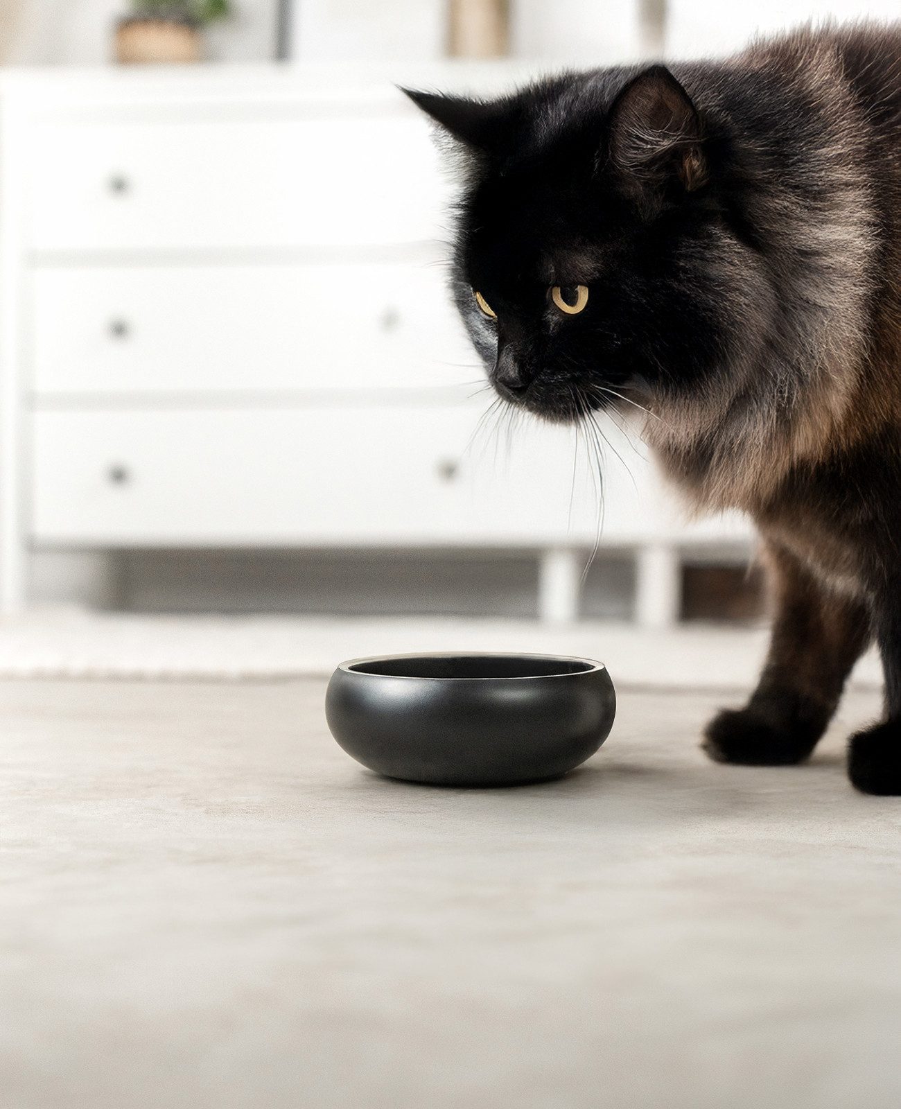 lionto Napf bauchig & rutschfest, für Katzen, schwarz, Edelstahl, langlebig & modernes Design