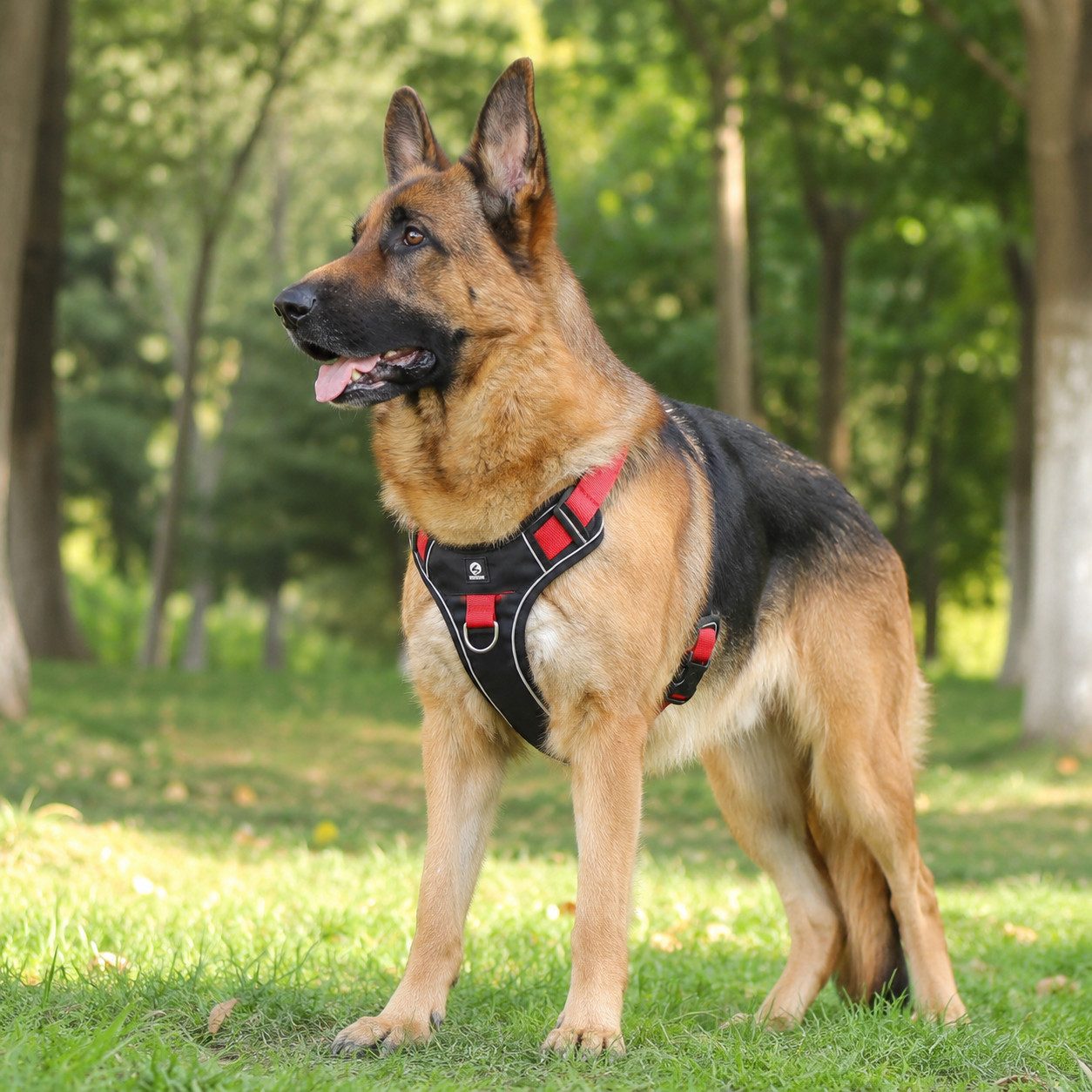 Fyrove Hundeweste Ruckfreies Anti-Zug Hundegeschirr+Hundeleine, sicher, Anti-Zug Hundegeschirr L mit Griff, weich gepolstert