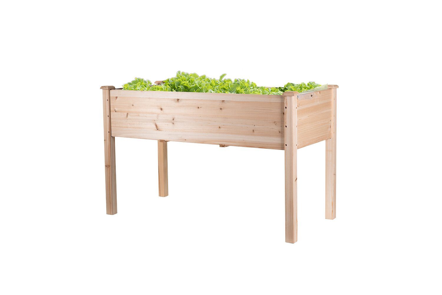 empasa Hochbeet RAISE 1 XL, Hochbeet - Tanne