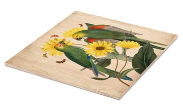 Posterlounge Holzbild Mandy Reinmuth, Exotische Papageien II, Wohnzimmer Landhausstil Malerei