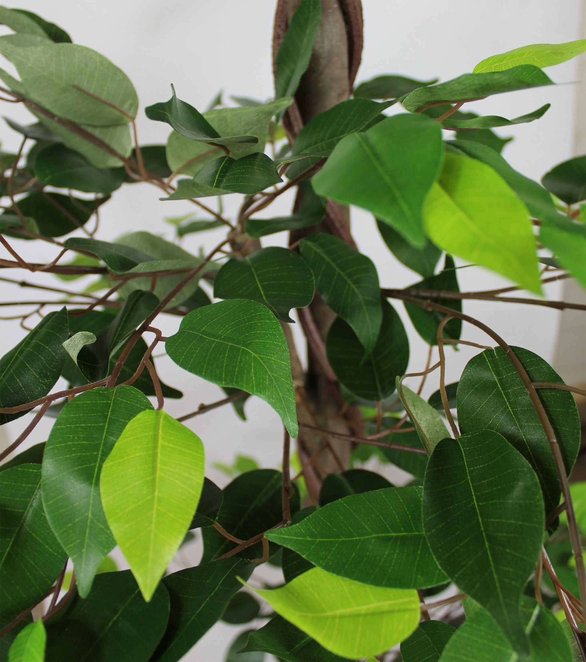 Kunstpflanze große künstliche Pflanze Ficus mit 3 Kronen Echtholzstamm 190 cm Ficus, Arnusa, Höhe 190 cm, fertig im beschwerten Topf