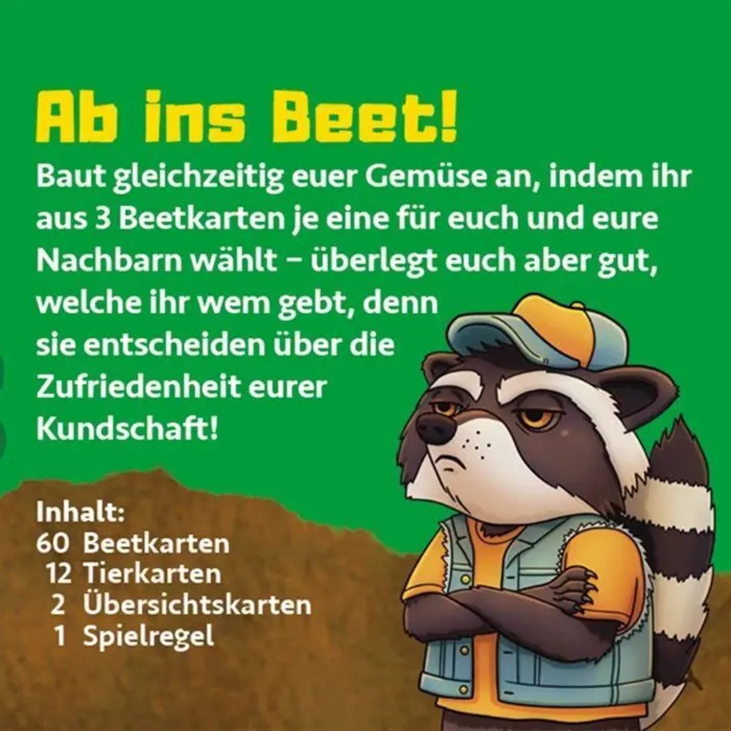 BrainBox Spiel Ab ins Beet