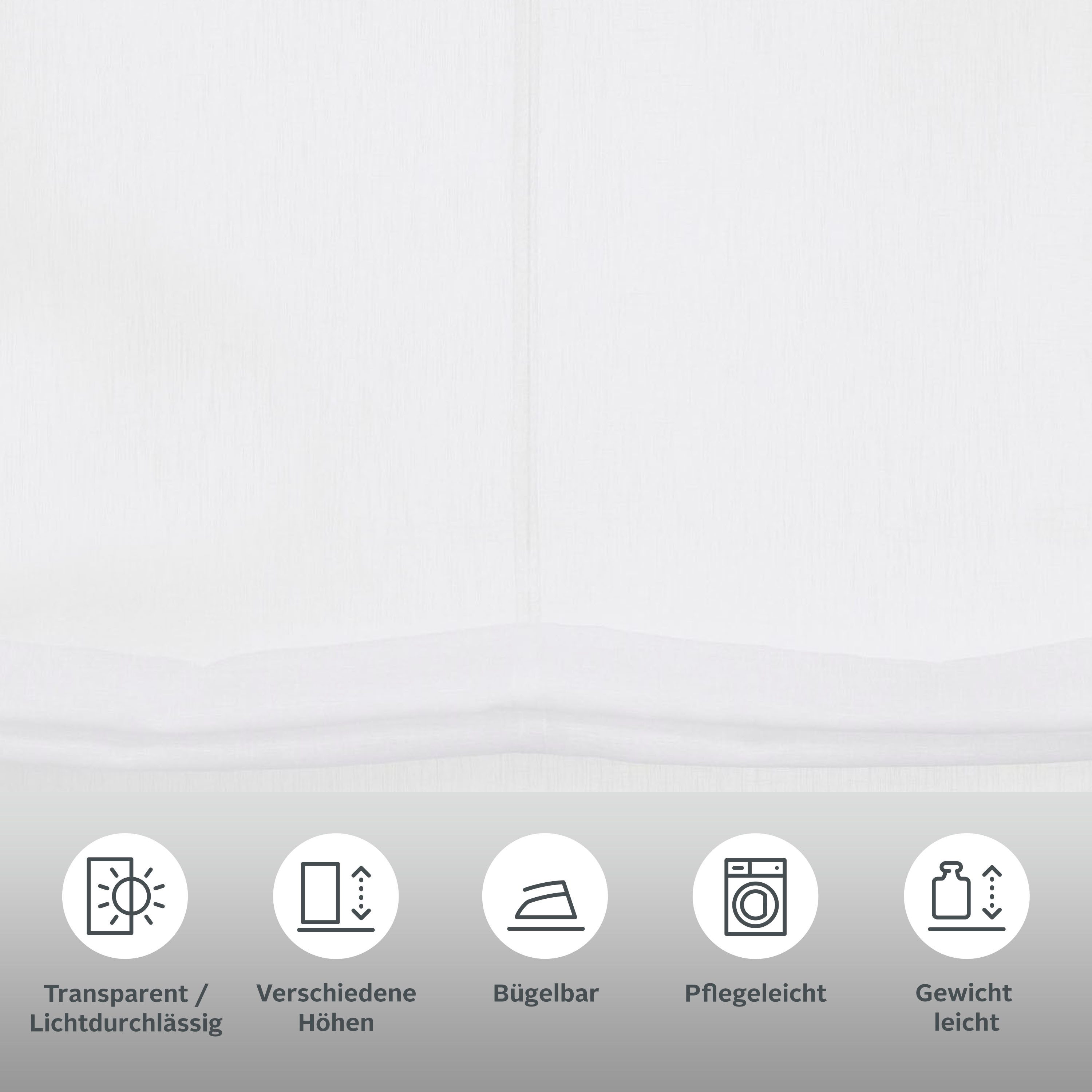 OTTO home Raffrollo Regina, mit Schlaufen, Transparent, Voile, Polyester, einfarbig, uni