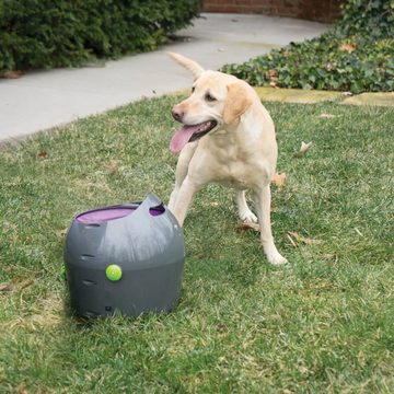 PetSafe Hunde-Ballschleuder Automatischer Ballwerfer für Haustiere 9 m Grau und Lila