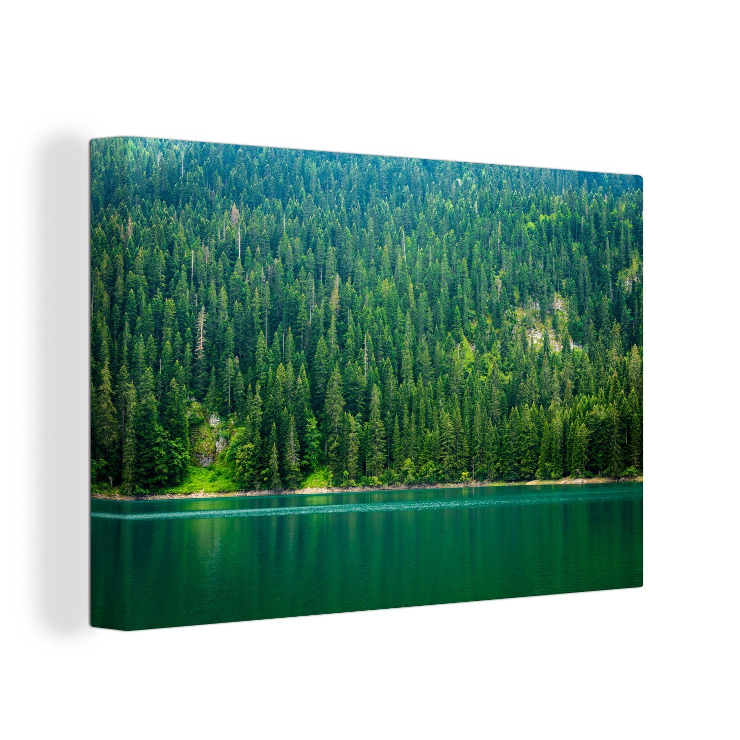 OneMillionCanvasses® Leinwandbild Kiefernwälder im Leinwandbilder, in (1 cm Aufhängefertig, Wandbild Wanddeko, St), 30x20 Montenegro, Durmitor-Nationalpark