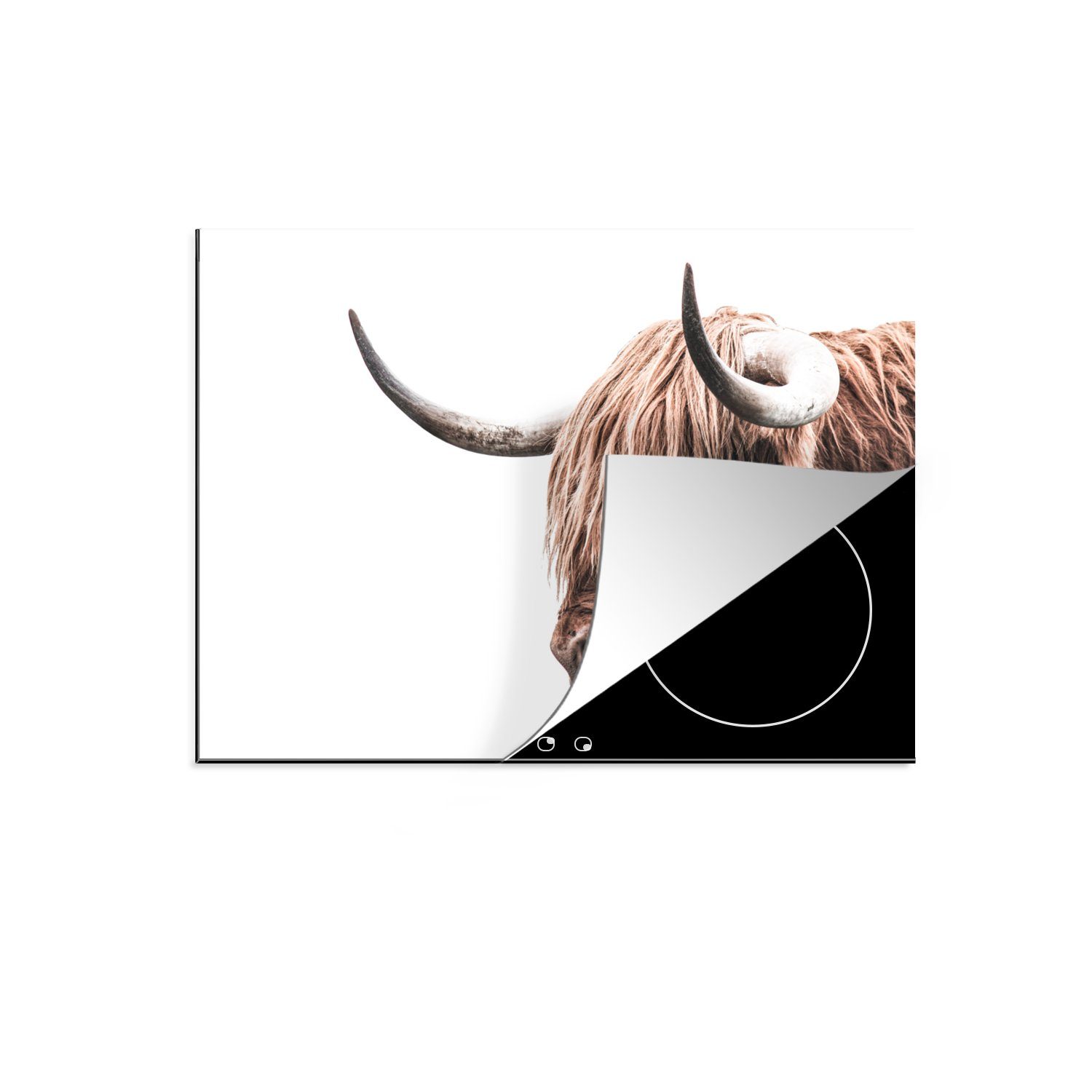 MuchoWow Herdblende-/Abdeckplatte Schottischer Highlander - Kuh - Weiß, Vinyl, (1 tlg), 71x52 cm, Induktionskochfeld Schutz für die küche, Ceranfeldabdeckung