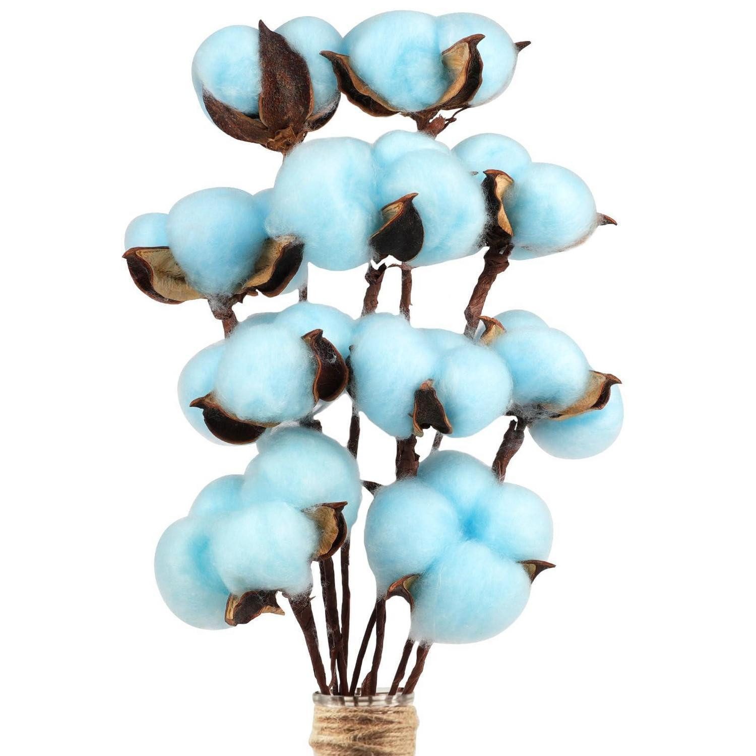 Trockenblume Deko Baumwolle 10 Stk. Blau 39cm, LuxusKollektion, Höhe 10 cm