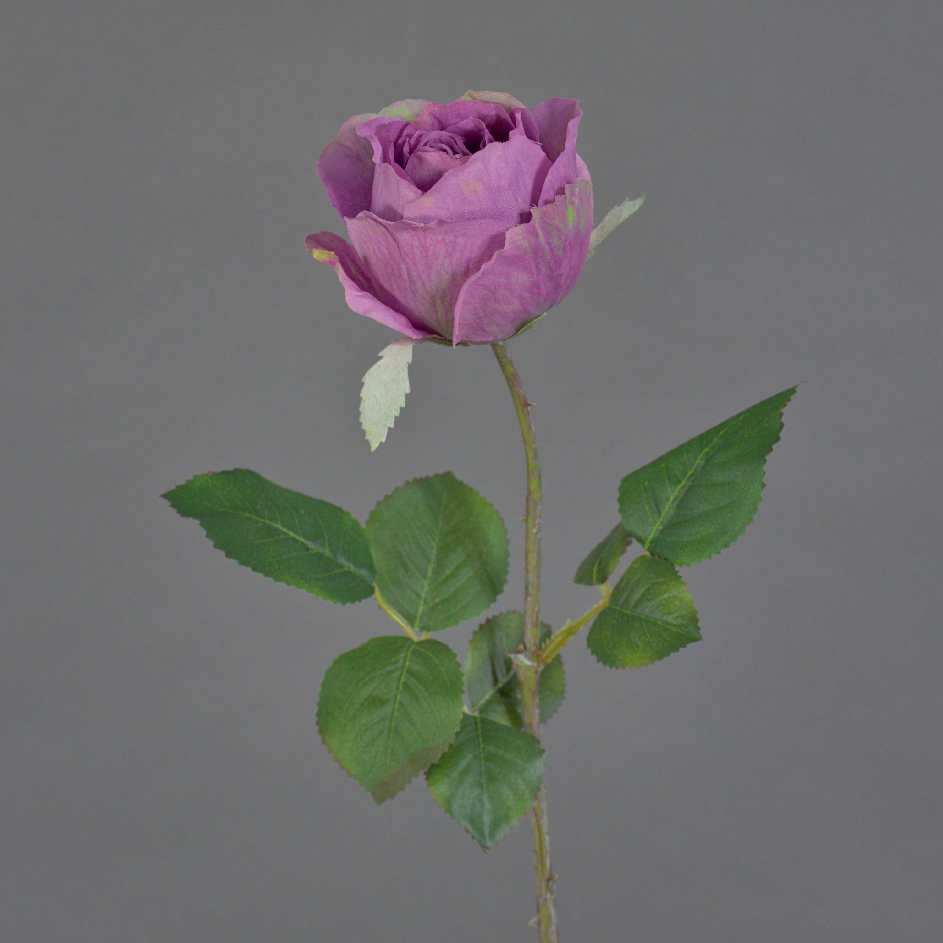 Kunstblume Kunst Blume Rose POPI, violett-grün, 55cm, Ø7cm Rose, artplants, Höhe 55.0 cm