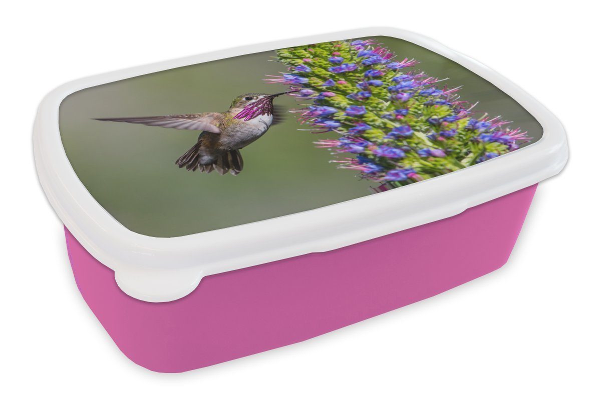 MuchoWow Lunchbox Kolibri - für Snackbox, Kunststoff Kunststoff, rosa Mädchen, Pflanze (2-tlg), Brotdose Brotbox - Lila, Kinder, Erwachsene