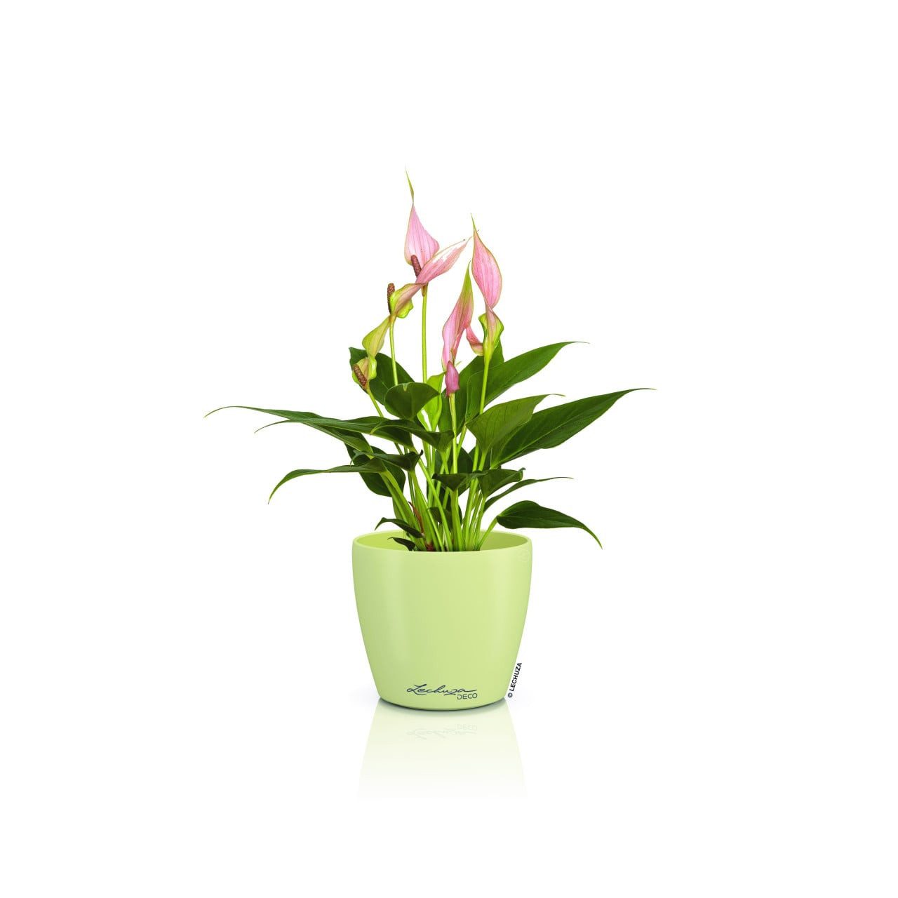Lechuza® Blumentopf Lechuza Pflanztopf Deco 12 Ø 13,2 x 11,8 cm linde