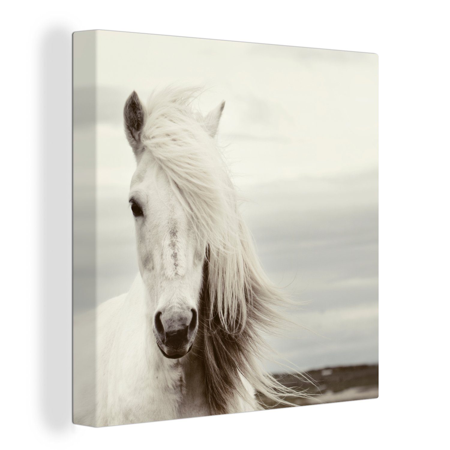 OneMillionCanvasses® Leinwandbild Pferd - Strand - Mähne, (1 St), Leinwand Bilder für Wohnzimmer Schlafzimmer