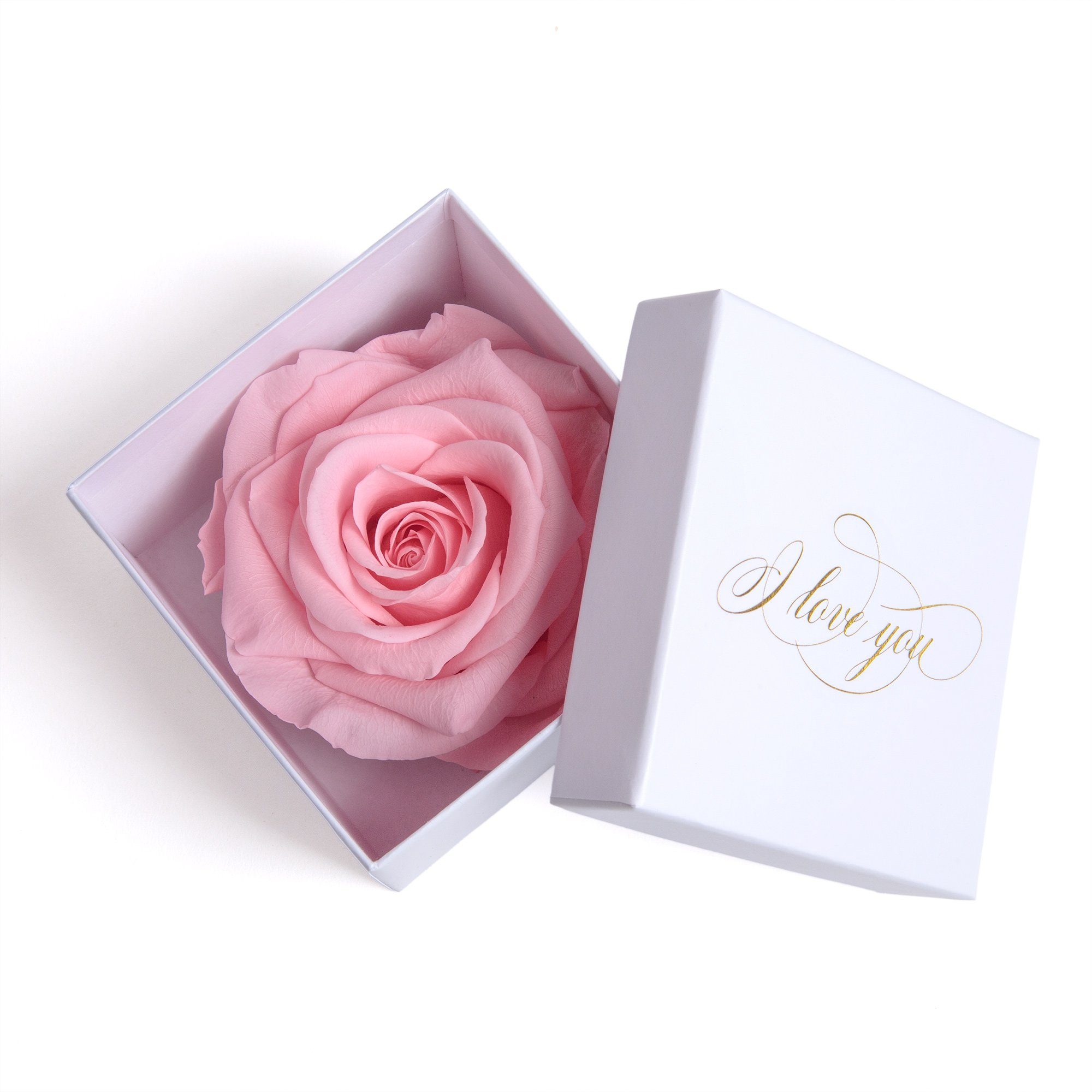 Kunstblume Infinity Rose in Box weiß I LOVE YOU Geschenk Frauen Liebesbeweis Valentinstag Rose, ROSEMARIE SCHULZ Heidelberg, Höhe 6 cm, Rose haltbar bis zu 3 Jahre rosa