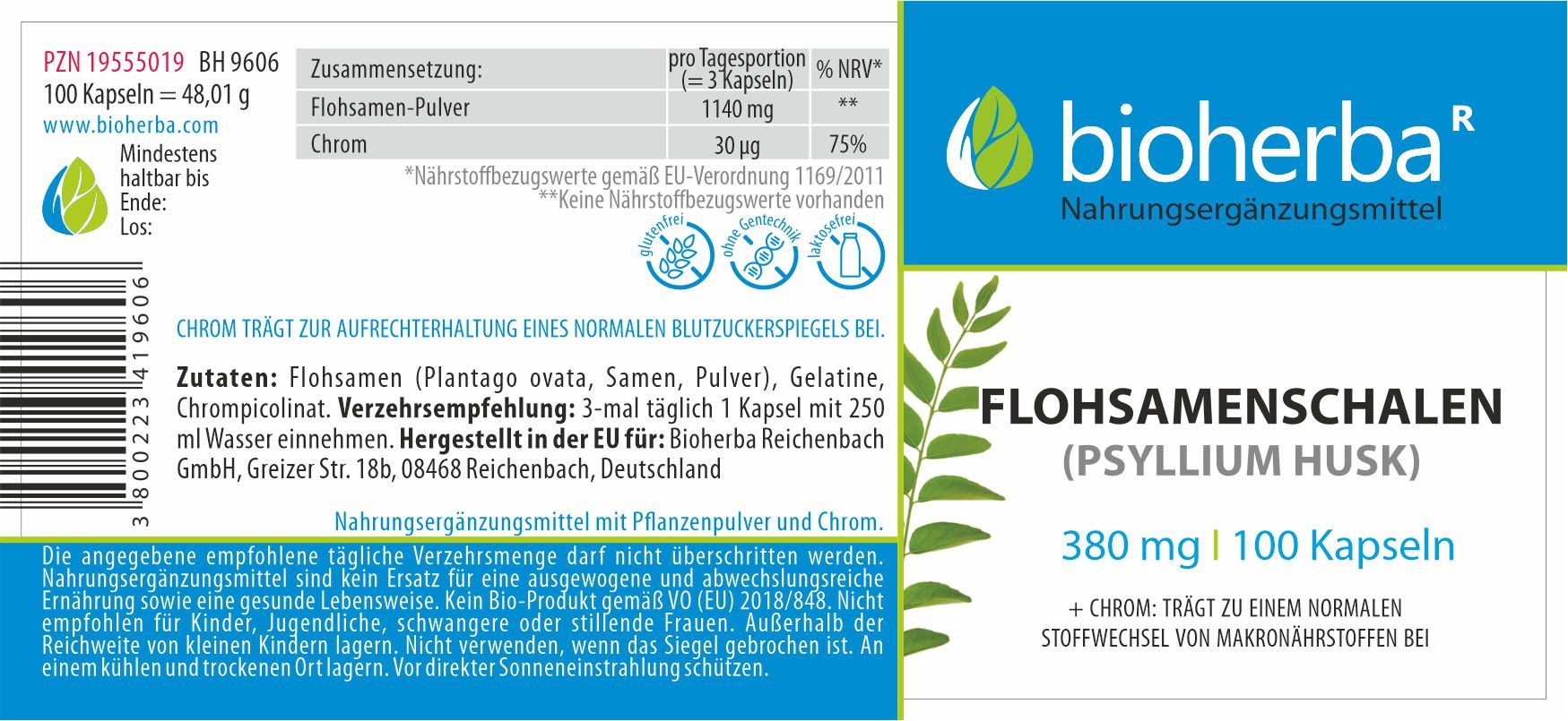 BIOHERBA R Bioherba Flohsamenschalen (Psyllium Husk) 380 mg 100 Kapseln Nahrungsergänzungsmittel, 1 er
