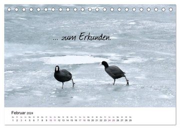 CALVENDO Wandkalender Zeit... (Tischkalender 2024 DIN A5 quer), CALVENDO Monatskalender